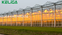 Keliga Serre en verre intelligente Plantation agricole Serre à travée multiple à usage commercial avec système de pare-soleil