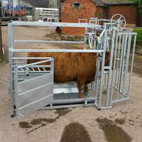 Équipement complet pour ferme d'élevage : Étrangleur à bétail robuste en acier galvanisé avec panneaux de pesée et grillage de clôture