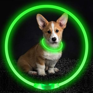 <span class=keywords><strong>Collar</strong></span> LED para Perro, Recargable por USB, <span class=keywords><strong>Collar</strong></span> Luminoso de Seguridad para Mascotas, <span class=keywords><strong>Collar</strong></span> Brillante de Alta Visibilidad - Product Image 1