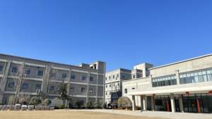 カスタマイズされたサイズの単結晶ダイヤモンド粉末 - Product Image 4