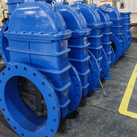 Vanne à opercule manuelle en fonte ductile avec joint EPDM, ANSI API DIN BS Pn16 Dn400, pour eau et huile