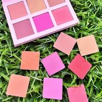 Palette de fards à joues 6 couleurs sous marque privée, étui rose avec miroir, poudre mate, faible MOQ, logo personnalisé, vente en gros, cosmétique visage
