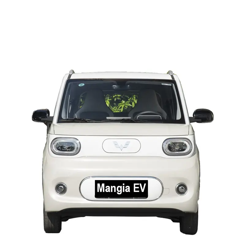2024 nuevo vehículo eléctrico Wuling Hongguang Mini EV para conducción de vehículos eléctricos de alta velocidad para adultos