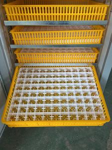 Lồng ấp trứng điều khiển nhỏ lồng ấp <span class=keywords><strong>xm</strong></span>-<span class=keywords><strong>18</strong></span> thiết bị chế biến gia cầm - Product Image 6