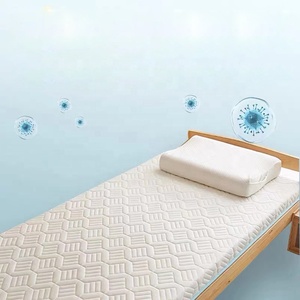 Colchón de Espuma de Alta Densidad Premium, Colchón Ortopédico de Espuma Comprimida y Envasada al Vacío - Product Image 1