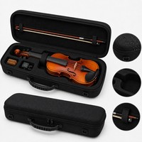 Kotak Penyimpanan Instrumen Musik Gitar Biola Tahan Air, Tahan Lama, Portabel, Ringan, Cangkang Keras, Logo Bagian Dalam Dibentuk Sesuai Pesanan