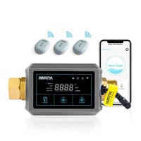 Détecteur de Fuite d'Eau Intelligent Wifi sans Fil avec Vanne d'Arrêt Automatique pour Tuyau et Alarme, Capteur de Détection des Fuites d'Eau pour la Maison
