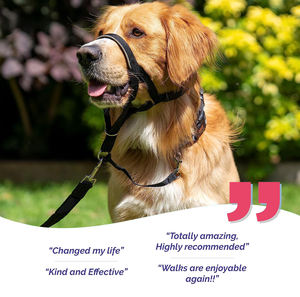 <span class=keywords><strong>Collar</strong></span> de cabeza de perro superventas para dejar de tirar de la correa, banda de nariz acolchada, ayuda profesional de entrenamiento antitracción para perros medianos - Product Image 4