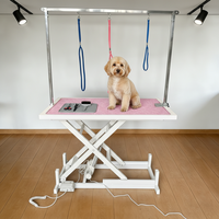 Table de toilettage électrique rotative à 360 degrés pour salon de toilettage professionnel et services de toilettage pour chiens