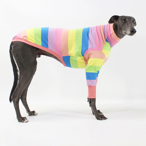 Jersey de chándal con cuello de tortuga para perros grandes, <span class=keywords><strong>ropa</strong></span> italiana de 2 piernas, talla xxxl, Primavera - Product Image 5