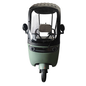 Urban Transportation's Low-Cost Vehicles for Passengers Leisure Carbon Steel Frame 3-Speed Gears Lead-Acid Battery - Product Image 6