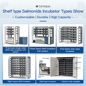 Incubadora Vertical Automática de Múltiples Niveles Tipo Estante para Huevos de Peces Salmonídeos, Tanque de Cría de Peces para Unidad de Incubación de Truchas y Salmones - Product Image 4