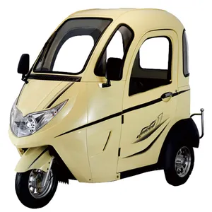 Bajaj-triciclo eléctrico de 3 ruedas, triciclo de carga