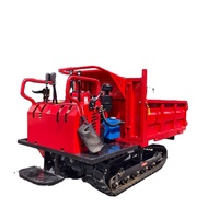 OKEMAN 1-Tonnen-Diesel-Raupendumper mit Gummiketten, Landwirtschaftliches Transportfahrzeug, Motor, Pumpe, Getriebe, Hohe Effizienz