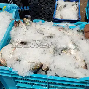 Máquina de hielo en escamas Koller de 1 tonelada, máquina de hielo a escala de agua de mar de acero inoxidable 304/316 para refrigeración de mariscos