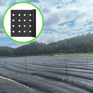 <span class=keywords><strong>Film</strong></span> <span class=keywords><strong>de</strong></span> <span class=keywords><strong>paillage</strong></span> agricole personnalisé en tissu non tissé PP <span class=keywords><strong>perforé</strong></span> noir, résistant aux UV, durable, respirant et perméable à l'eau, 60 g/m² - Product Image 3