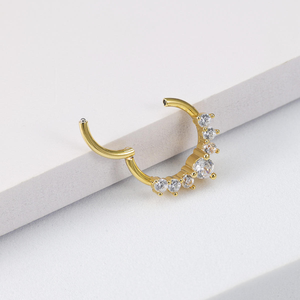 Anillo de <span class=keywords><strong>Nariz</strong></span> de Acero Inoxidable 316L con Circonita Cúbica, Piercing de Septum, 16G, Chapado en Oro PVD, Anillo Segmentado con Bisagra, Anillos de <span class=keywords><strong>Nariz</strong></span> para Mujer - Product Image 2
