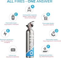 Extincteur Firexo All One 500ml Chrome Multi-usages Tous types de feux Batterie Li-ion Sécurité d'urgence