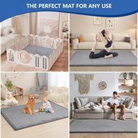 Bestseller Wohnheim-Bodenteppich Korallenvlies Kleinkind-Sturzschutz Tatami-Teppiche Maßgefertigte Rutschfeste Erwachsenen- und Kinderzimmer-Spielmatte