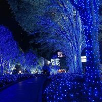 30 Meter IP44 Wasserdichte 110V/220V Weihnachtsbeleuchtung 300 LED Verbindbar 8 Modi Blaue Feenlichterkette