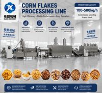 Machine à fabriquer des céréales pour le petit-déjeuner, des flocons de maïs, du muesli, des céréales soufflées, ligne de production de barres céréalières