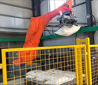 Robot Automatizado Eléctrico de Alta Eficiencia para Carga/Descarga, Despaletizador, Rompe Bolsas de Semillas, Cartones de Papel, Aplicación Alimentaria