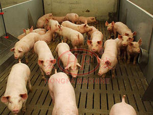 Máquina Automática para la Producción de Tablas de Cemento para la Construcción, Línea de Producción de Tablas de Cemento para Negocios, Tablas de Cemento Totalmente Automáticas. - Product Image 2