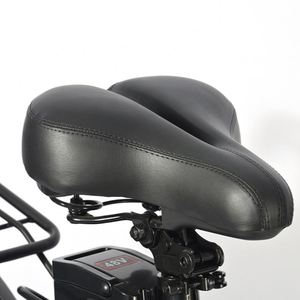 <span class=keywords><strong>Vélo</strong></span> <span class=keywords><strong>électrique</strong></span> 800W à 3 vitesses, faible bruit, <span class=keywords><strong>prix</strong></span> d'usine - Product Image 5