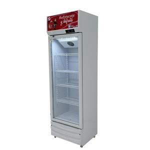 Enfriadores <span class=keywords><strong>de</strong></span> bebidas verticales, <span class=keywords><strong>precio</strong></span> <span class=keywords><strong>de</strong></span> fábrica, puerta <span class=keywords><strong>de</strong></span> un solo <span class=keywords><strong>vidrio</strong></span>, enfriador vertical <span class=keywords><strong>de</strong></span> <span class=keywords><strong>Coca</strong></span> Cola vertical, refrigerador <span class=keywords><strong>de</strong></span> bebidas - Product Image 4