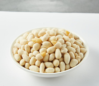 Nueces de Pino Recubiertas de Wasabi, Bocadillos de Nueces con Sabor a Wasabi, Nueces Saludables, Bocadillos Crujientes y Sabrosos