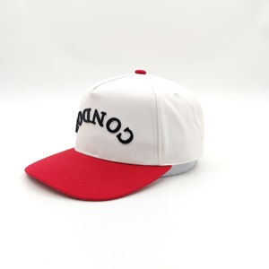 Casquette de baseball ajustable en tissu Oxford Dobby bicolore à 5 panneaux avec broderie 3D - Product Image 1