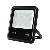 DC 12V 24V AC 100-277V IP65 Réflecteur Projecteur Lampe 30W 50w 100w 150w 200w 300w 400w 500w Projecteur Led Extérieur