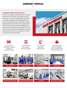 IP67 <span class=keywords><strong>Micro</strong></span> chuyển đổi, 250V.RoHS,SPST mạch đa chức năng <span class=keywords><strong>Micro</strong></span> thiết bị chuyển mạch - Product Image 5