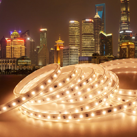 Bande lumineuse LED flexible haute tension AC230V 60 LED/m 10W/m 50M Blanc chaud ou froid 3000K 2700K Décorative pour éclairage extérieur