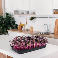 Kit de semis hydroponiques de micro-légumes biologiques prêts à consommer en 7 jours – Écologique pour la maison et le jardin