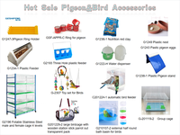 Yorkshire – maison des oiseaux canaries, Cages, pinsons, perroquets, jouets de course, Pigeons, Lovebirds, maison, fournitures d'alimentation