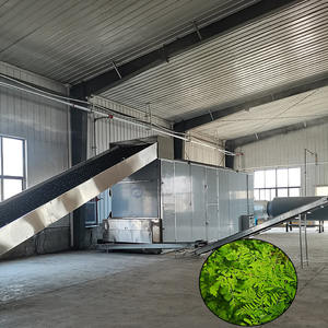 Séchoir à bande continue en maille pour herbe, paille et feuilles de Moringa - Product Image 1