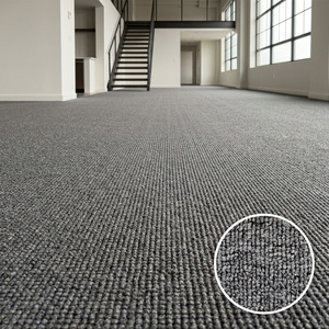 Wall To Wall <b>Carpet</b> Solid Color Gray Tufted Low Pile Commercial Office Use Modern Style Stain Resistant - Product Image 1