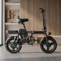 Vélo électrique pliable 14 pouces 250W 48V Capacité de charge 120 kg Porte-bagages arrière Monovitesse pour patrouilles de sécurité et travaux utilitaires