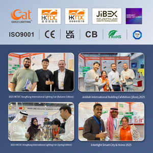 <span class=keywords><strong>Driver</strong></span> per Pannello LED DC220V 5-20W, Kit di Emergenza per Illuminazione LED, Ballast di Emergenza - Product Image 6