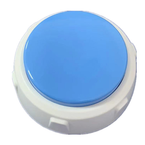 Bouton bleu ciel
