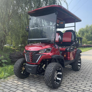 Mini voiturette de golf électrique Buggy voiture 4 roues <span class=keywords><strong>2</strong></span> places 48V 5000W chariot touristique utilitaire - Product Image 1