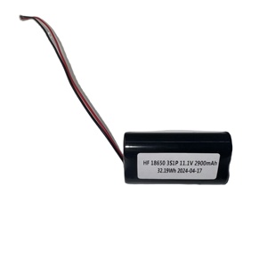 <span class=keywords><strong>Support</strong></span> de gros Batterie lithium-ion polymère dithium semi-solide rechargeable personnalisée <span class=keywords><strong>18650</strong></span> 11.1V 2900mAh 32.19Wh - Product Image 2