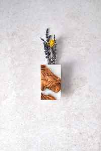 Mejora la Decoración de tus Plantas con Macetas de Resina y Madera para Plantas que Combinan Encanto Rústico y Resina Duradera - Product Image 2