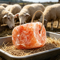 Bloc de sel minéral à lécher pour animaux, sel minéral en gros pour bovins, ovins, caprins, supplément alimentaire pour bétail