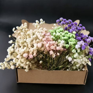 Fleurs de Gypsophile Séchées et Préservées en Boîte, 50 Pièces, Gypsophile Naturelle, Boîte Cadeau, Longue Durée (3-5 Ans) - Product Image 6
