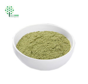 Ekstrak Herbal Alami Bubuk Seledri Apium Graveolens - Product Image 1
