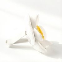 Diffuseur d'huiles essentielles pour la maison, en céramique parfumée, en porcelaine faite à la main, en forme de fleur, en plâtre aromatique, en gros