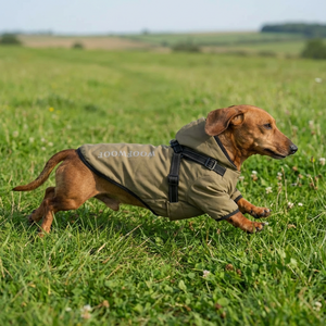 Imperméable classique écologique pour chiot, imperméable à quatre pattes, poncho tout-en-un, petit et moyen chien, Teddy, vêtements réfléchissants pour animaux <span class=keywords><strong>de</strong></span> compagnie - Product Image 4