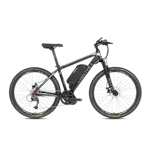 EN15194批准中国ebike锂电池48V10A350W/500W/750W电动山地车自行车自行车